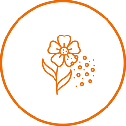 Bltenpollen.png